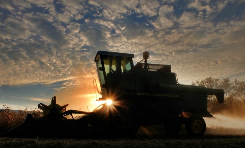 Farming - Combine harvesting field crops